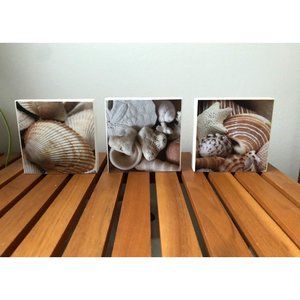 Three 4x4 Seashell Photo Blocks